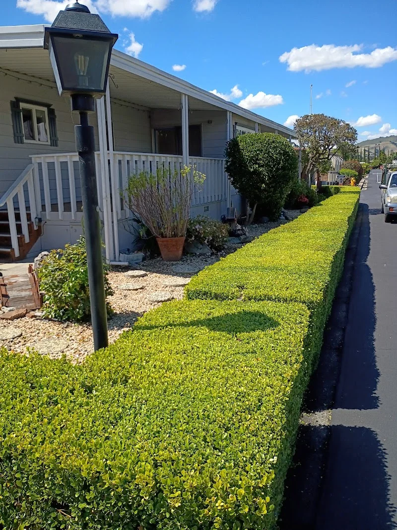 Guzman Landscaping Maintenance